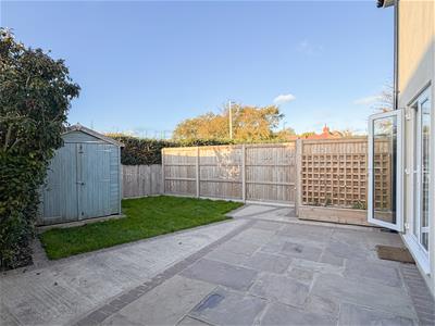 Picture 14